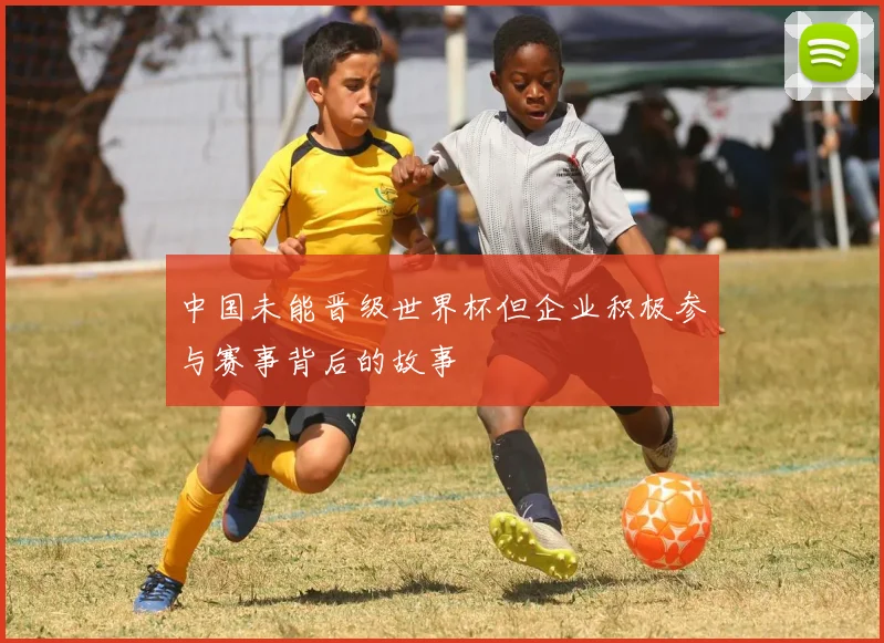 中国未能晋级世界杯但企业积极参与赛事背后的故事
