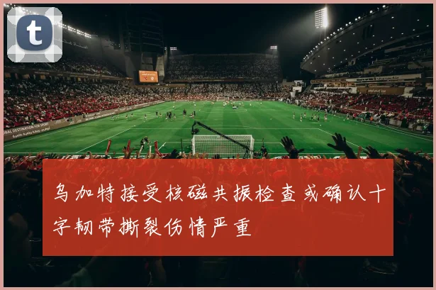 乌加特接受核磁共振检查或确认十字韧带撕裂伤情严重